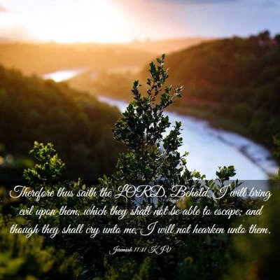 Picture 03 - Jeremiah 11:11 KJV - Therefore thus saith the LORD, Behold, I will - Bible Verse Picture