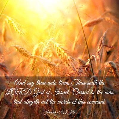 Picture 03 - Jeremiah 11:3 KJV - And say thou unto them, Thus saith the LORD God - Bible Verse Picture