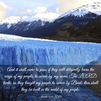 Picture 03 - Jeremiah 12:16 KJV - And it shall come to pass, if they will - Bible Verse Picture