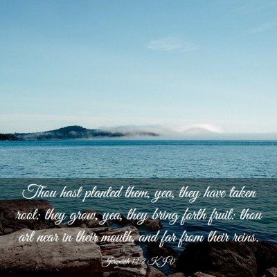 Picture 03 - Jeremiah 12:2 KJV - Thou hast planted them, yea, they have taken - Bible Verse Picture