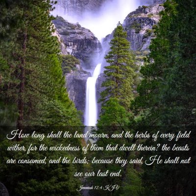 Picture 03 - Jeremiah 12:4 KJV - How long shall the land mourn, and the herbs of - Bible Verse Picture