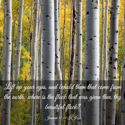 Picture 03 - Jeremiah 13:20 KJV - Lift up your eyes, and behold them that come from - Bible Verse Picture