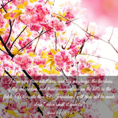 Picture 03 - Jeremiah 13:27 KJV - I have seen thine adulteries, and thy neighings, - Bible Verse Picture