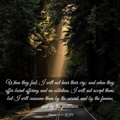 Picture 03 - Jeremiah 14:12 KJV - When they fast, I will not hear their cry; and - Bible Verse Picture