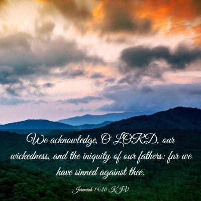 Picture 03 - Jeremiah 14:20 KJV - We acknowledge, O LORD, our wickedness, and the - Bible Verse Picture
