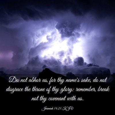 Picture 03 - Jeremiah 14:21 KJV - Do not abhor us, for thy name's sake, do not - Bible Verse Picture