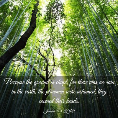 Picture 03 - Jeremiah 14:4 KJV - Because the ground is chapt, for there was no - Bible Verse Picture