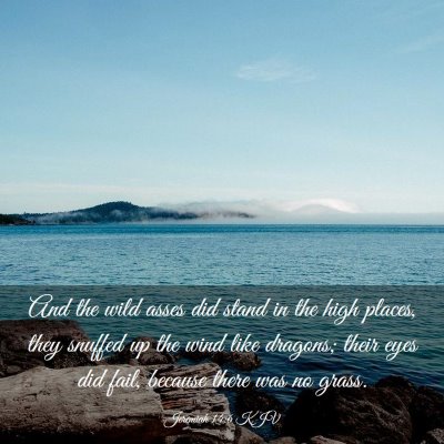 Picture 03 - Jeremiah 14:6 KJV - And the wild asses did stand in the high places, - Bible Verse Picture
