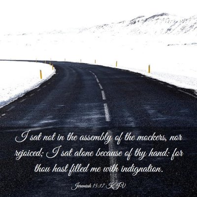 Picture 03 - Jeremiah 15:17 KJV - I sat not in the assembly of the mockers, nor - Bible Verse Picture