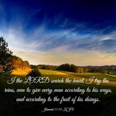 Picture 03 - Jeremiah 17:10 KJV - I the LORD search the heart, I try the reins, - Bible Verse Picture