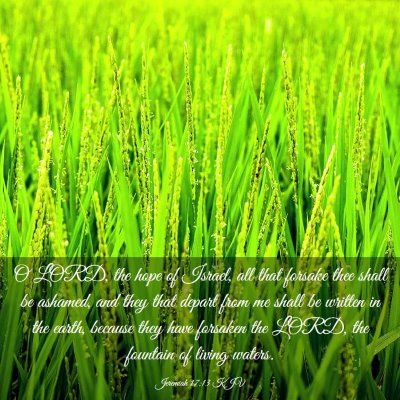 Picture 03 - Jeremiah 17:13 KJV - O LORD, the hope of Israel, all that forsake thee - Bible Verse Picture