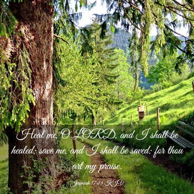 Picture 03 - Jeremiah 17:14 KJV - Heal me, O LORD, and I shall be healed; save me, - Bible Verse Picture