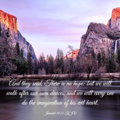 Picture 03 - Jeremiah 18:12 KJV - And they said, There is no hope: but we will walk - Bible Verse Picture
