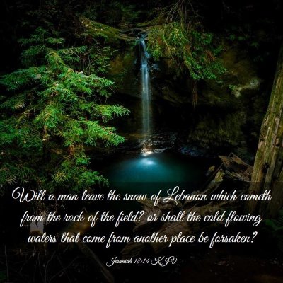 Picture 03 - Jeremiah 18:14 KJV - Will a man leave the snow of Lebanon which cometh - Bible Verse Picture