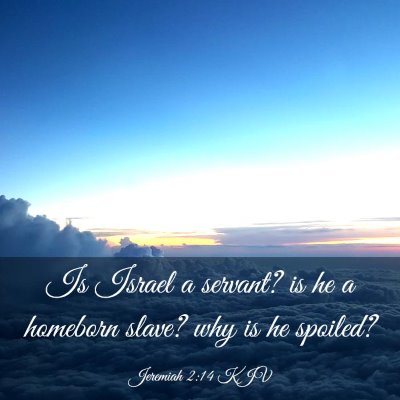 Picture 03 - Jeremiah 2:14 KJV - Is Israel a servant? is he a homeborn slave? why - Bible Verse Picture
