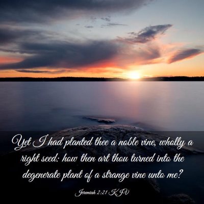 Picture 03 - Jeremiah 2:21 KJV - Yet I had planted thee a noble vine, wholly a - Bible Verse Picture