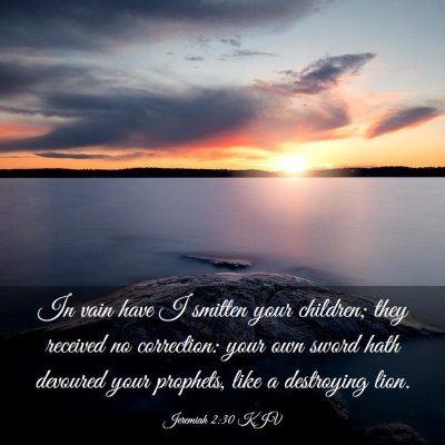 Picture 03 - Jeremiah 2:30 KJV - In vain have I smitten your children; they - Bible Verse Picture