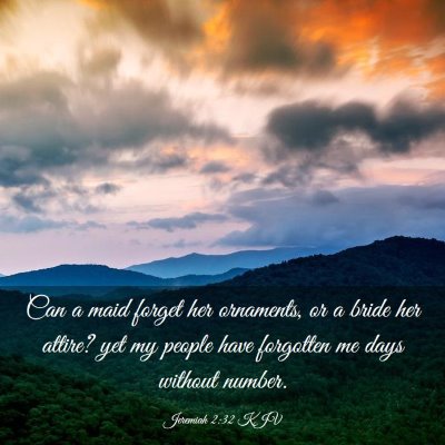 Picture 03 - Jeremiah 2:32 KJV - Can a maid forget her ornaments, or a bride her - Bible Verse Picture