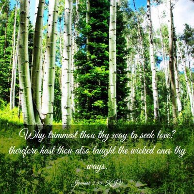 Picture 03 - Jeremiah 2:33 KJV - Why trimmest thou thy way to seek love? therefore - Bible Verse Picture