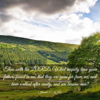 Picture 03 - Jeremiah 2:5 KJV - Thus saith the LORD, What iniquity have your - Bible Verse Picture