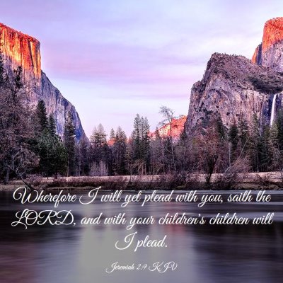 Picture 03 - Jeremiah 2:9 KJV - Wherefore I will yet plead with you, saith the - Bible Verse Picture