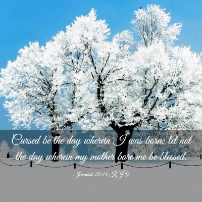 Picture 03 - Jeremiah 20:14 KJV - Cursed be the day wherein I was born: let not the - Bible Verse Picture
