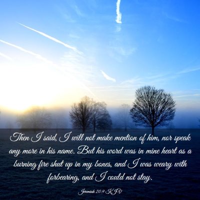 Picture 03 - Jeremiah 20:9 KJV - Then I said, I will not make mention of him, nor - Bible Verse Picture