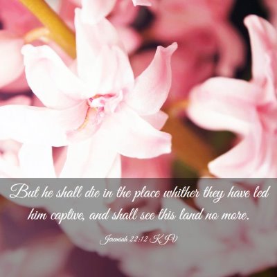 Picture 03 - Jeremiah 22:12 KJV - But he shall die in the place whither they have - Bible Verse Picture