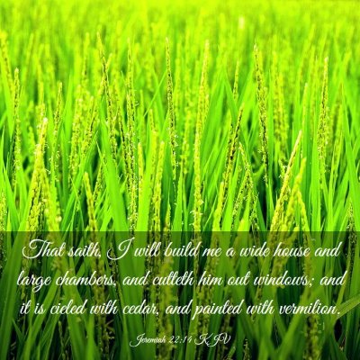 Picture 03 - Jeremiah 22:14 KJV - That saith, I will build me a wide house and - Bible Verse Picture