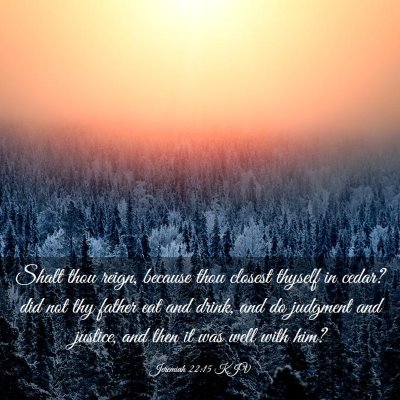Picture 03 - Jeremiah 22:15 KJV - Shalt thou reign, because thou closest thyself in - Bible Verse Picture