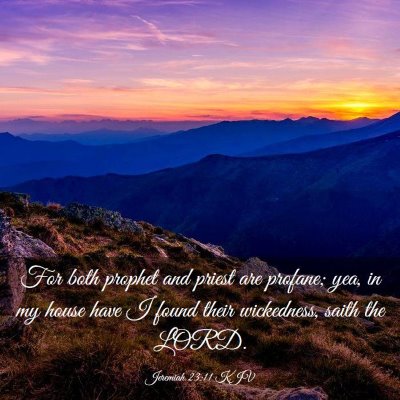 Picture 03 - Jeremiah 23:11 KJV - For both prophet and priest are profane; yea, in - Bible Verse Picture
