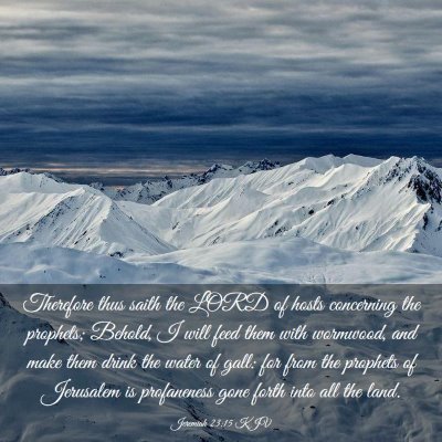 Picture 03 - Jeremiah 23:15 KJV - Therefore thus saith the LORD of hosts concerning - Bible Verse Picture