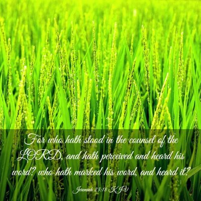 Picture 03 - Jeremiah 23:18 KJV - For who hath stood in the counsel of the LORD, - Bible Verse Picture