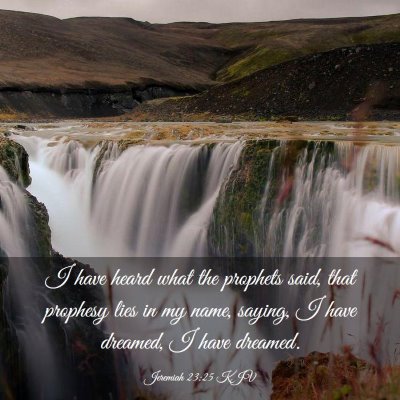 Picture 03 - Jeremiah 23:25 KJV - I have heard what the prophets said, that - Bible Verse Picture