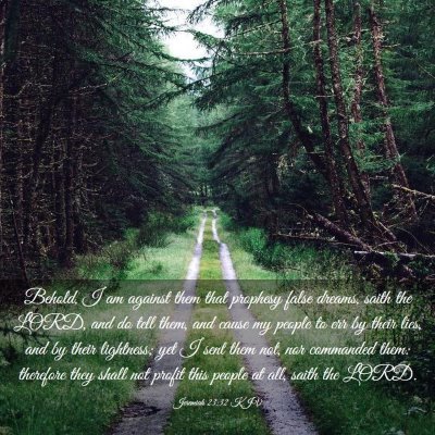 Picture 03 - Jeremiah 23:32 KJV - Behold, I am against them that prophesy false - Bible Verse Picture