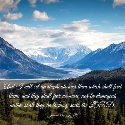 Picture 03 - Jeremiah 23:4 KJV - And I will set up shepherds over them which shall - Bible Verse Picture