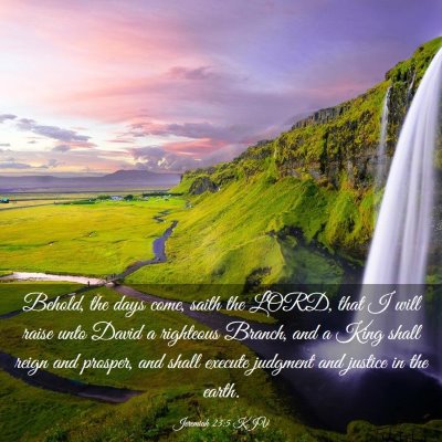 Picture 03 - Jeremiah 23:5 KJV - Behold, the days come, saith the LORD, that I - Bible Verse Picture