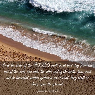 Picture 03 - Jeremiah 25:33 KJV - And the slain of the LORD shall be at that day - Bible Verse Picture