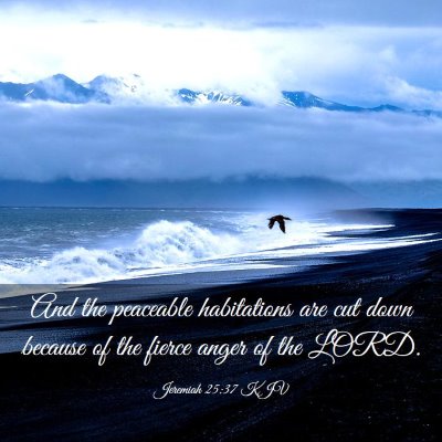 Picture 03 - Jeremiah 25:37 KJV - And the peaceable habitations are cut down - Bible Verse Picture