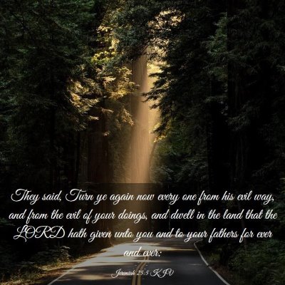 Picture 03 - Jeremiah 25:5 KJV - They said, Turn ye again now every one from his - Bible Verse Picture
