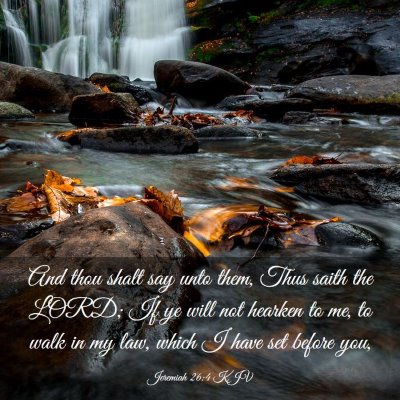 Picture 03 - Jeremiah 26:4 KJV - And thou shalt say unto them, Thus saith the - Bible Verse Picture