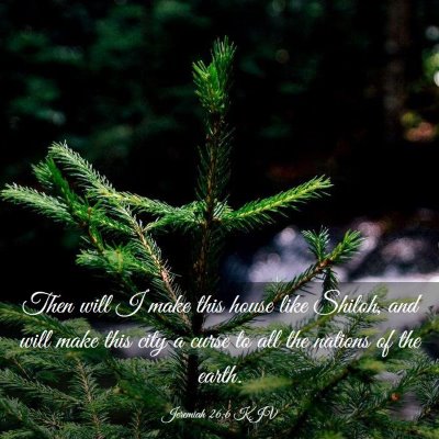 Picture 03 - Jeremiah 26:6 KJV - Then will I make this house like Shiloh, and will - Bible Verse Picture
