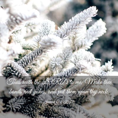 Picture 03 - Jeremiah 27:2 KJV - Thus saith the LORD to me; Make thee bonds and - Bible Verse Picture
