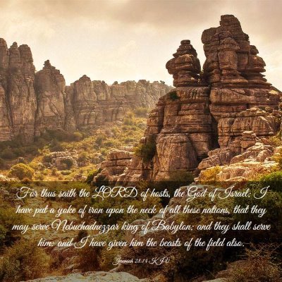 Picture 03 - Jeremiah 28:14 KJV - For thus saith the LORD of hosts, the God of - Bible Verse Picture