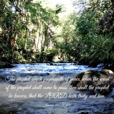Picture 03 - Jeremiah 28:9 KJV - The prophet which prophesieth of peace, when the - Bible Verse Picture