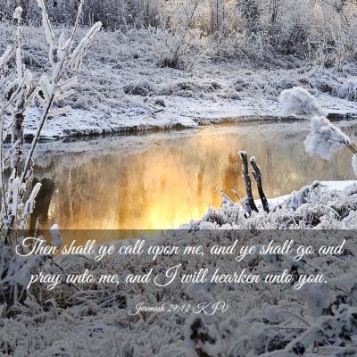 Picture 03 - Jeremiah 29:12 KJV - Then shall ye call upon me, and ye shall go and - Bible Verse Picture