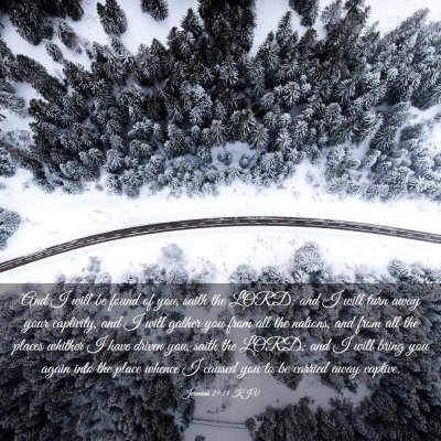 Picture 03 - Jeremiah 29:14 KJV - And I will be found of you, saith the LORD: and I - Bible Verse Picture