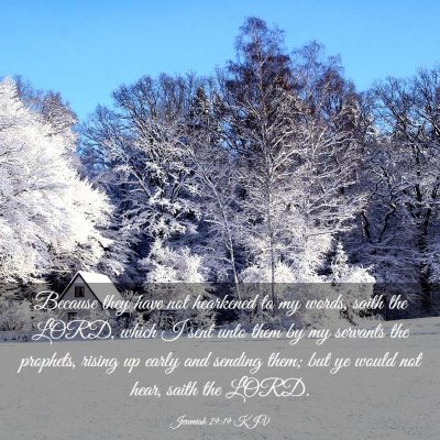 Picture 03 - Jeremiah 29:19 KJV - Because they have not hearkened to my words, - Bible Verse Picture