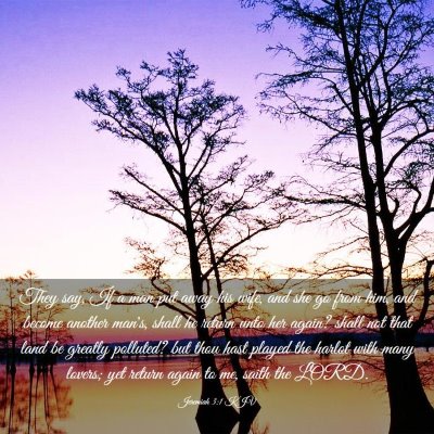 Picture 03 - Jeremiah 3:1 KJV - They say, If a man put away his wife, and she go - Bible Verse Picture