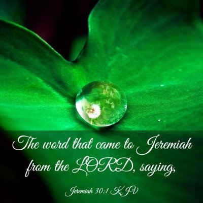 Picture 03 - Jeremiah 30:1 KJV - The word that came to Jeremiah from the LORD, - Bible Verse Picture